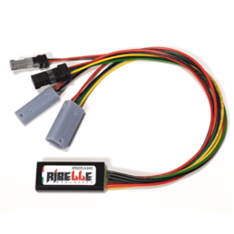 tunig for bosch ebi9kes speedfun ribelle 2.2