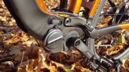 SpeedFun tuning velocità ebike giant TRANCE E+ 2022 motore giant syncdrive pro 2022 (Yamaha pw-x3)_motore