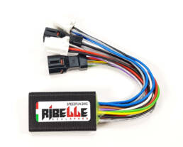 tuning ebike SpeedFun Ribelle 2.0 for Giant Syncdrive Pro from 2022 (PW-X3) + Ridecontrol Go_product_web